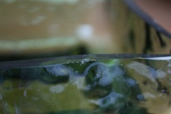 Riihimaen Lasi /Pala /花瓶