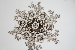 ロールストランド